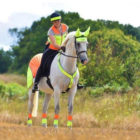 Equisafety Multi Coloured Mesh Fly Sheet. Yellow/Orange - Equisafety